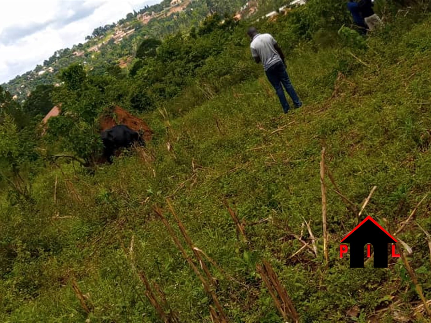 Residential Land for sale in Namubiru Mukono