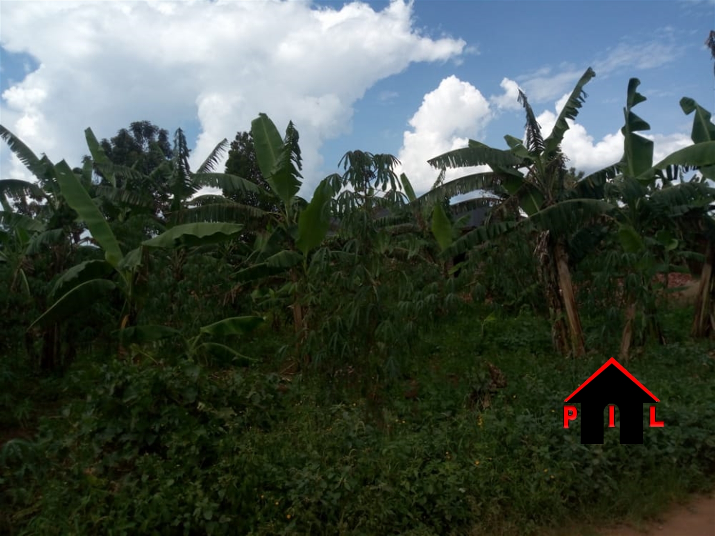 Agricultural Land for sale in Mpambira Masaka