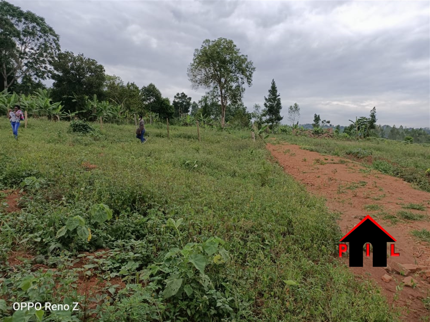 Commercial Land for sale in Katende Mpigi