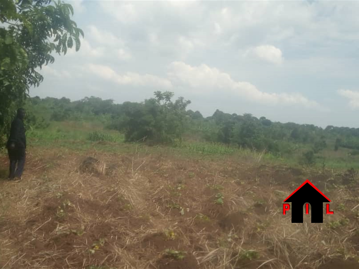 Agricultural Land for sale in Bamugolodde Luweero