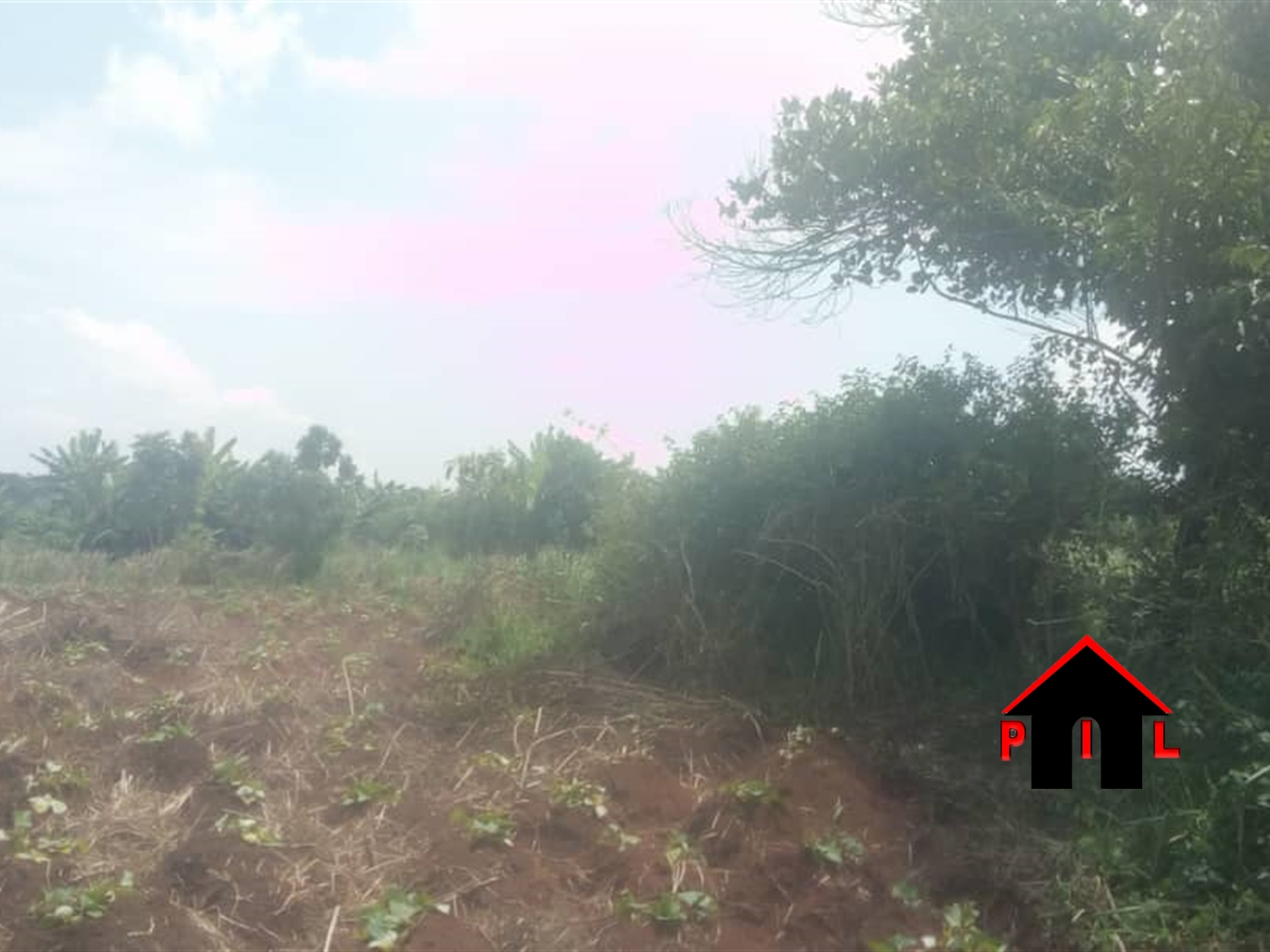 Agricultural Land for sale in Bamugolodde Luweero