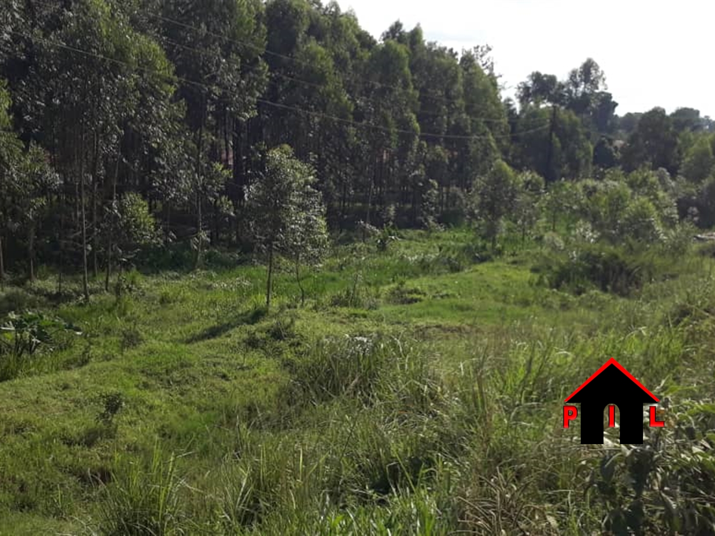 Agricultural Land for sale in Ziloobwe Luweero