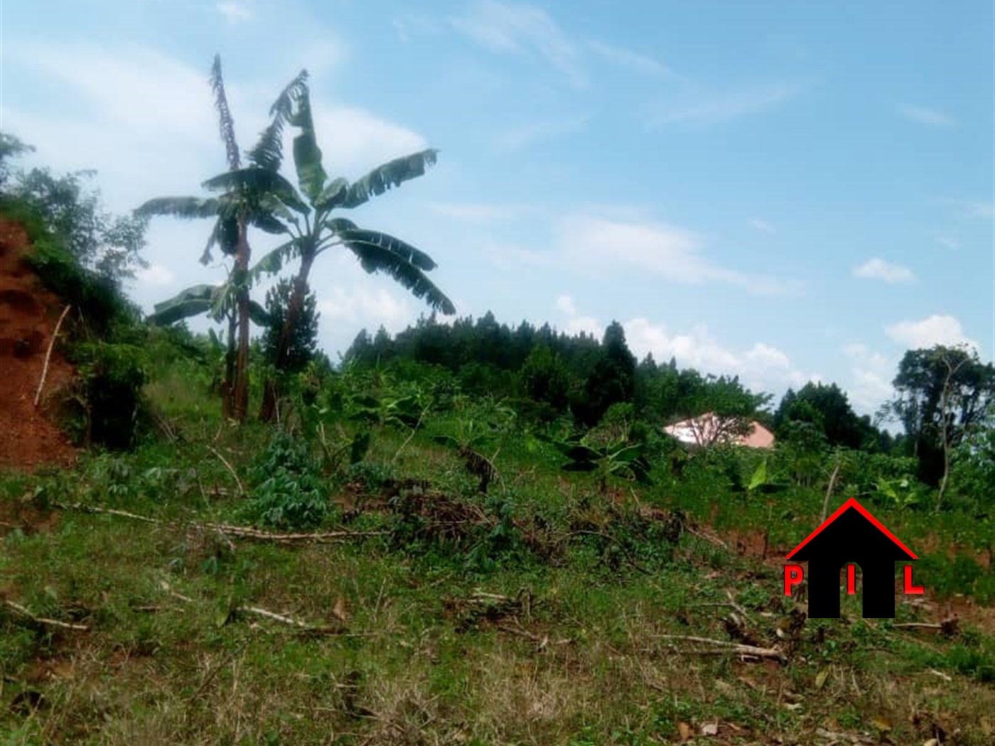 Agricultural Land for sale in Bulungi Nakaseke