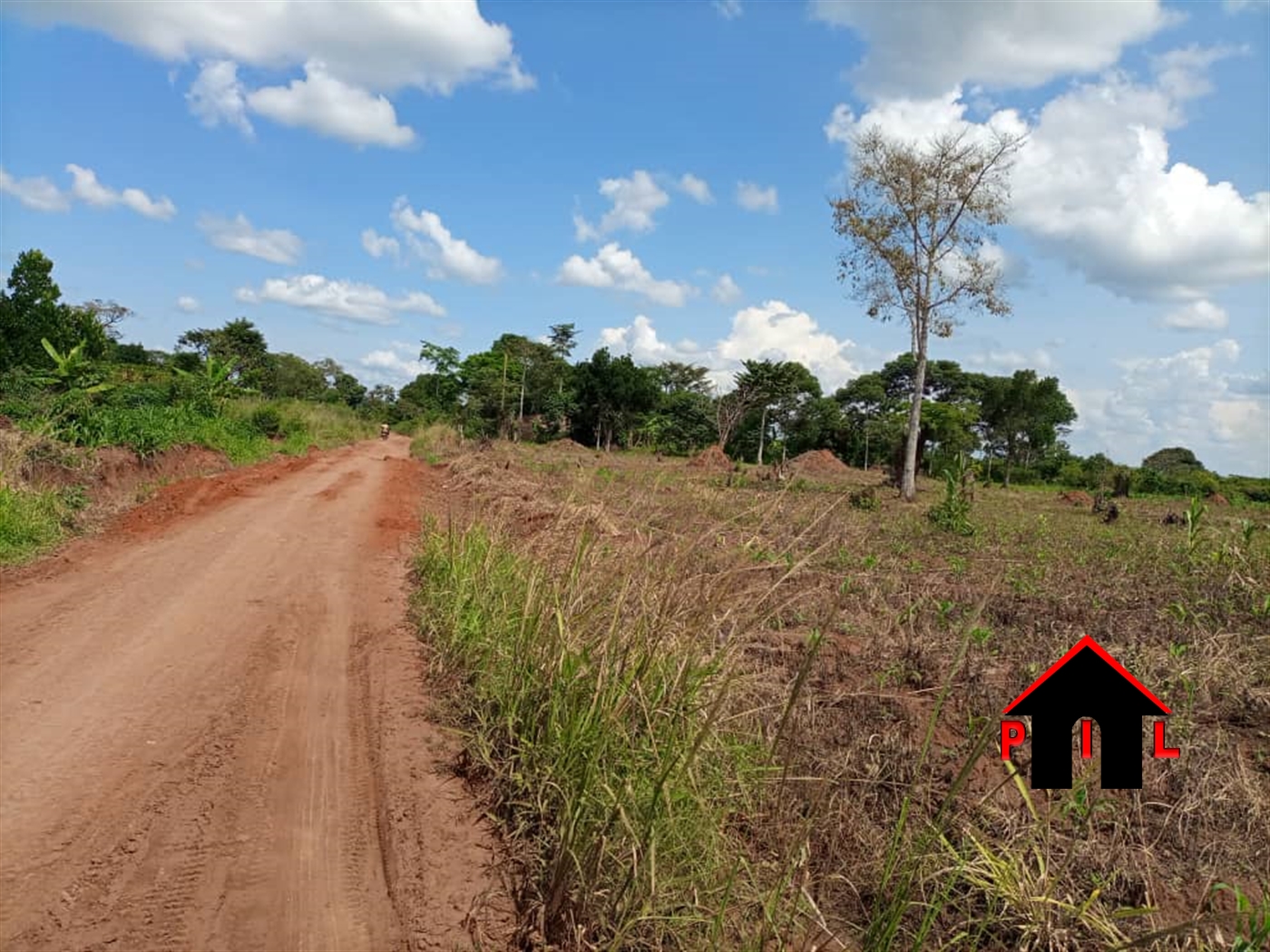 Agricultural Land for sale in Ziloobwe Luweero