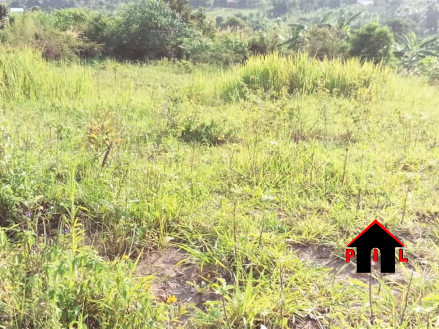 Agricultural Land for sale in Wakatayi Luweero