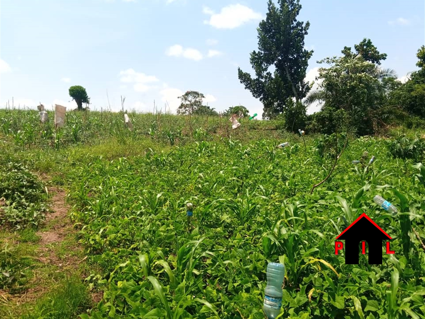 Residential Land for sale in Kiweebwa Nakaseke