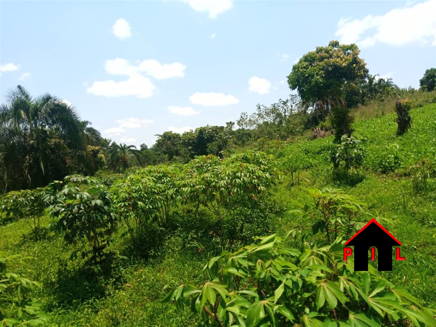 Residential Land for sale in Kiweebwa Nakaseke