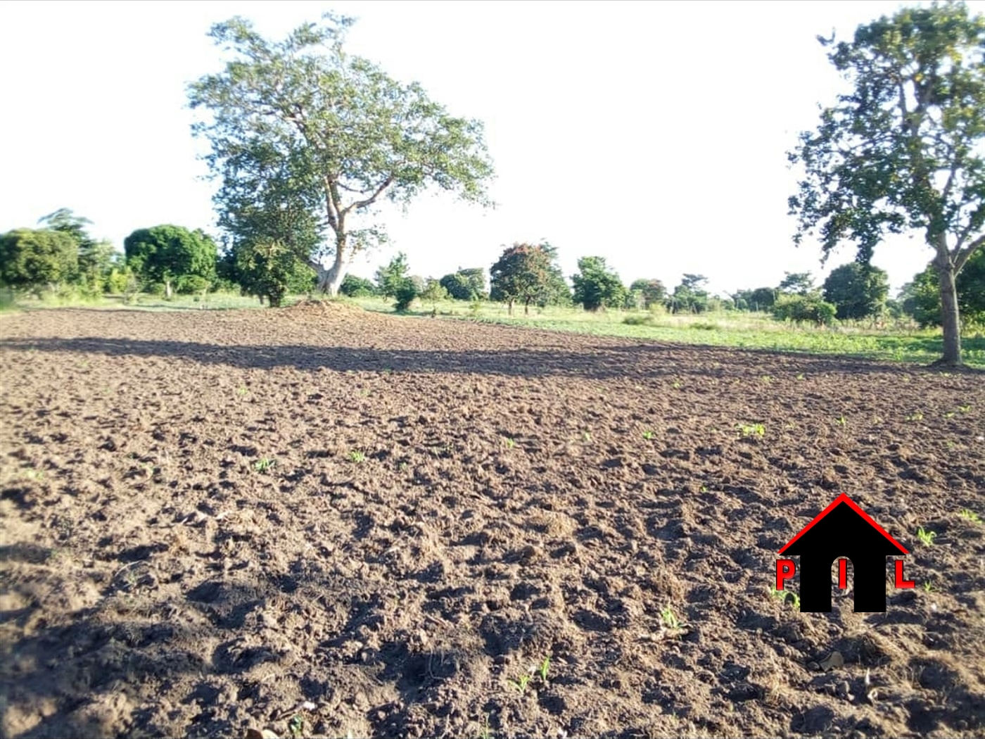 Agricultural Land for sale in Kassanda Mubende