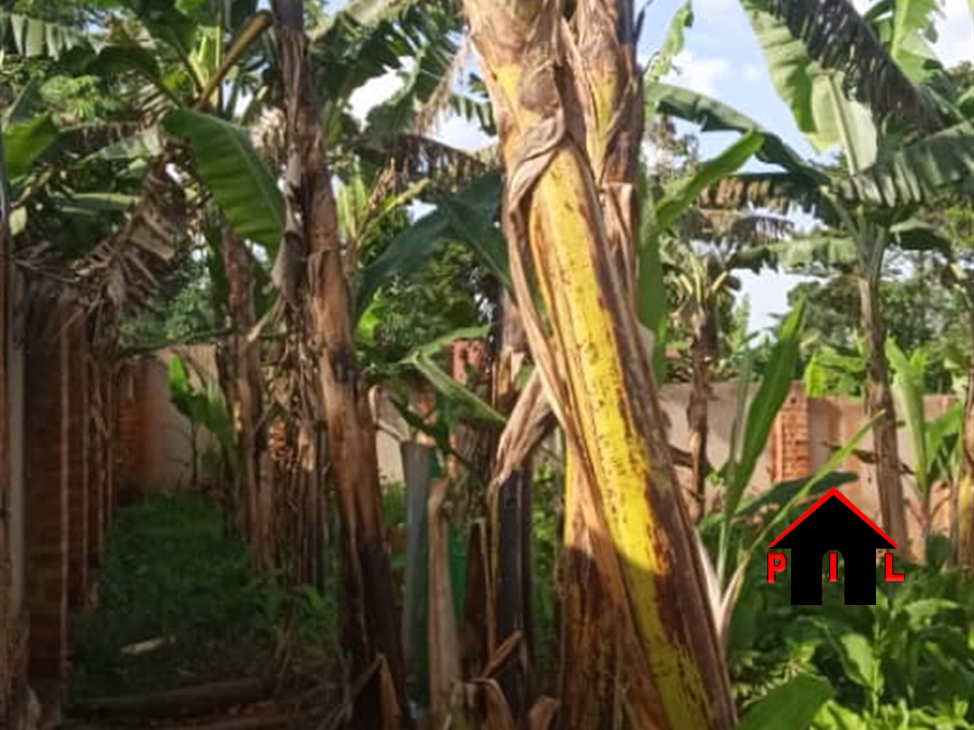 Residential Land for sale in Kitukutwe Wakiso