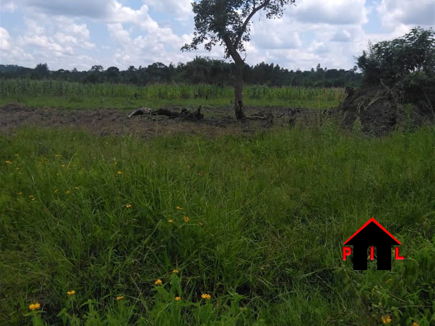 Agricultural Land for sale in Kanyanda Nakaseke