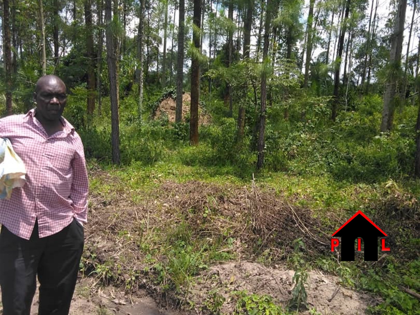 Agricultural Land for sale in Kanyanda Nakaseke