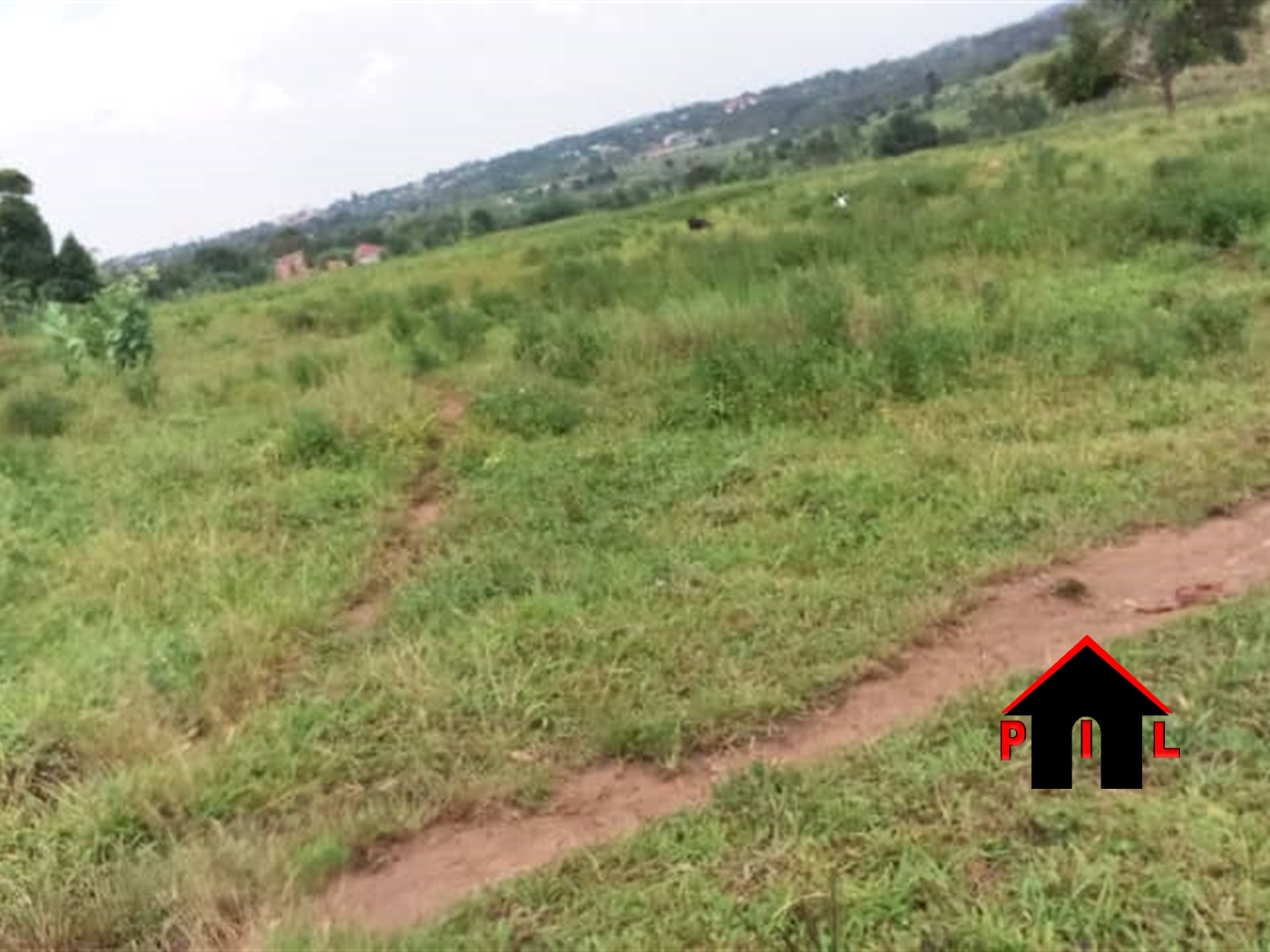 Commercial Land for sale in Namulonge Wakiso