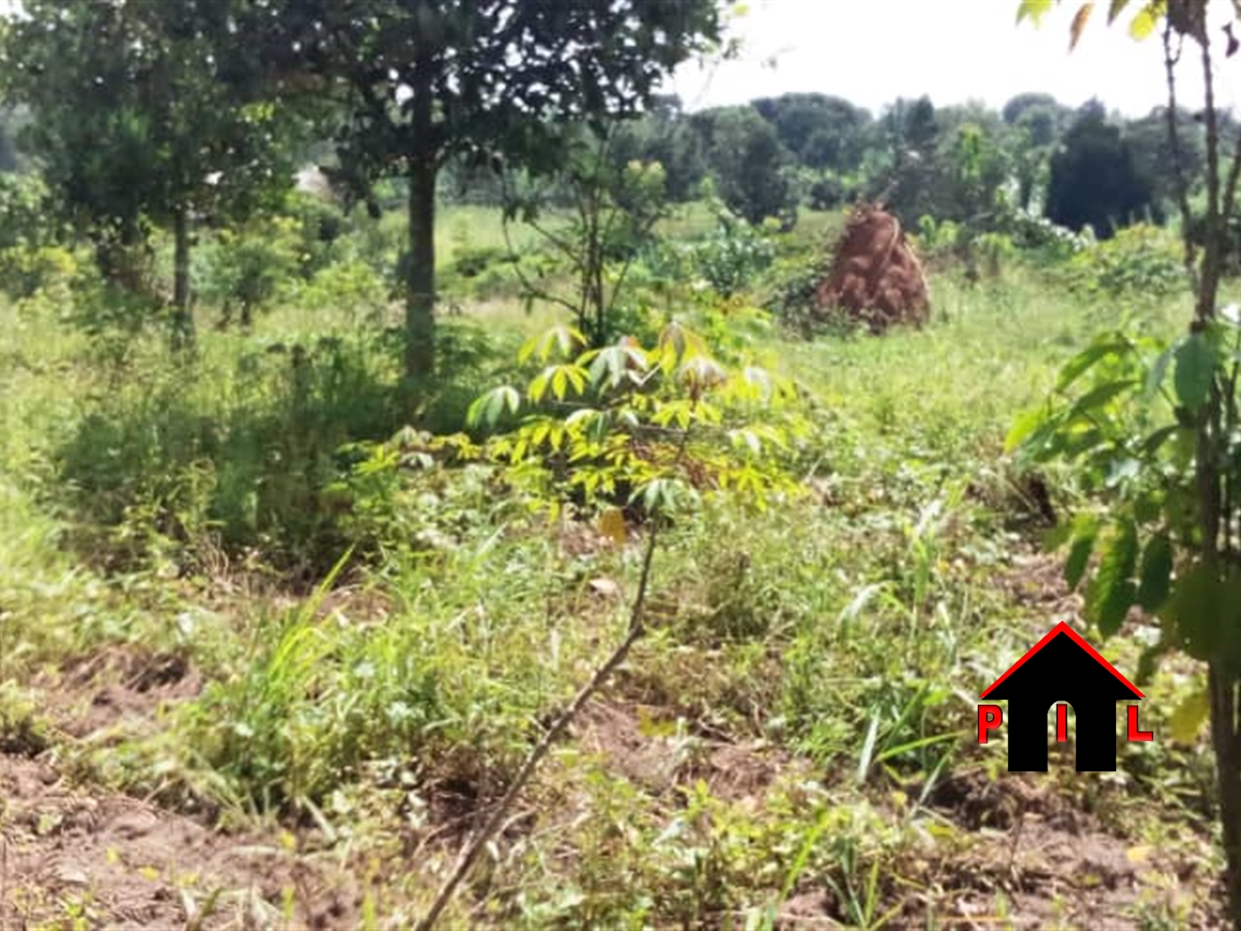 Residential Land for sale in Kiwenda Wakiso