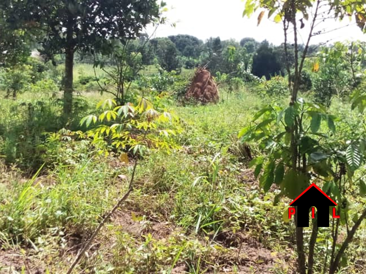 Residential Land for sale in Kiwenda Wakiso