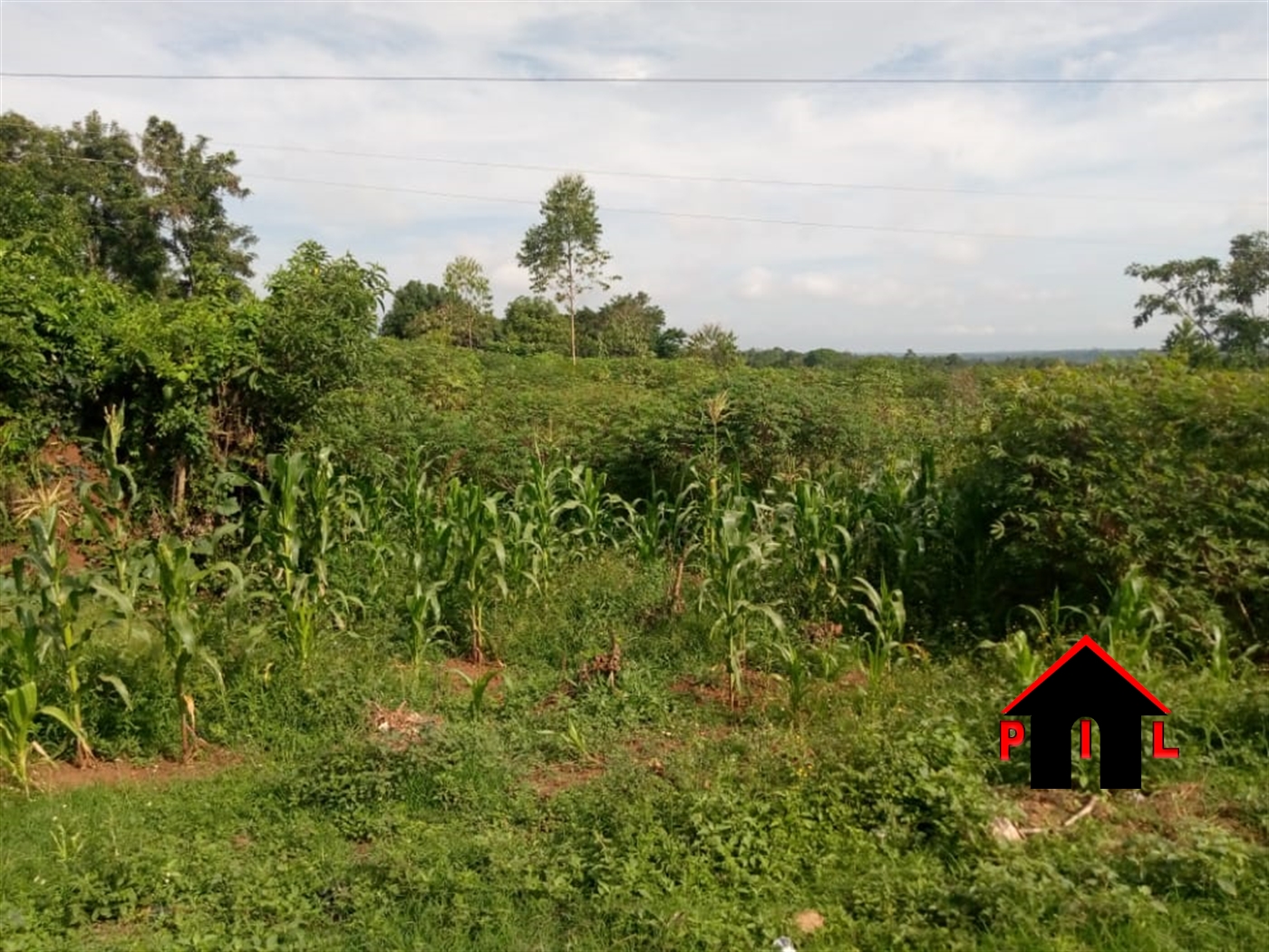 Residential Land for sale in Kikaaya Kampala