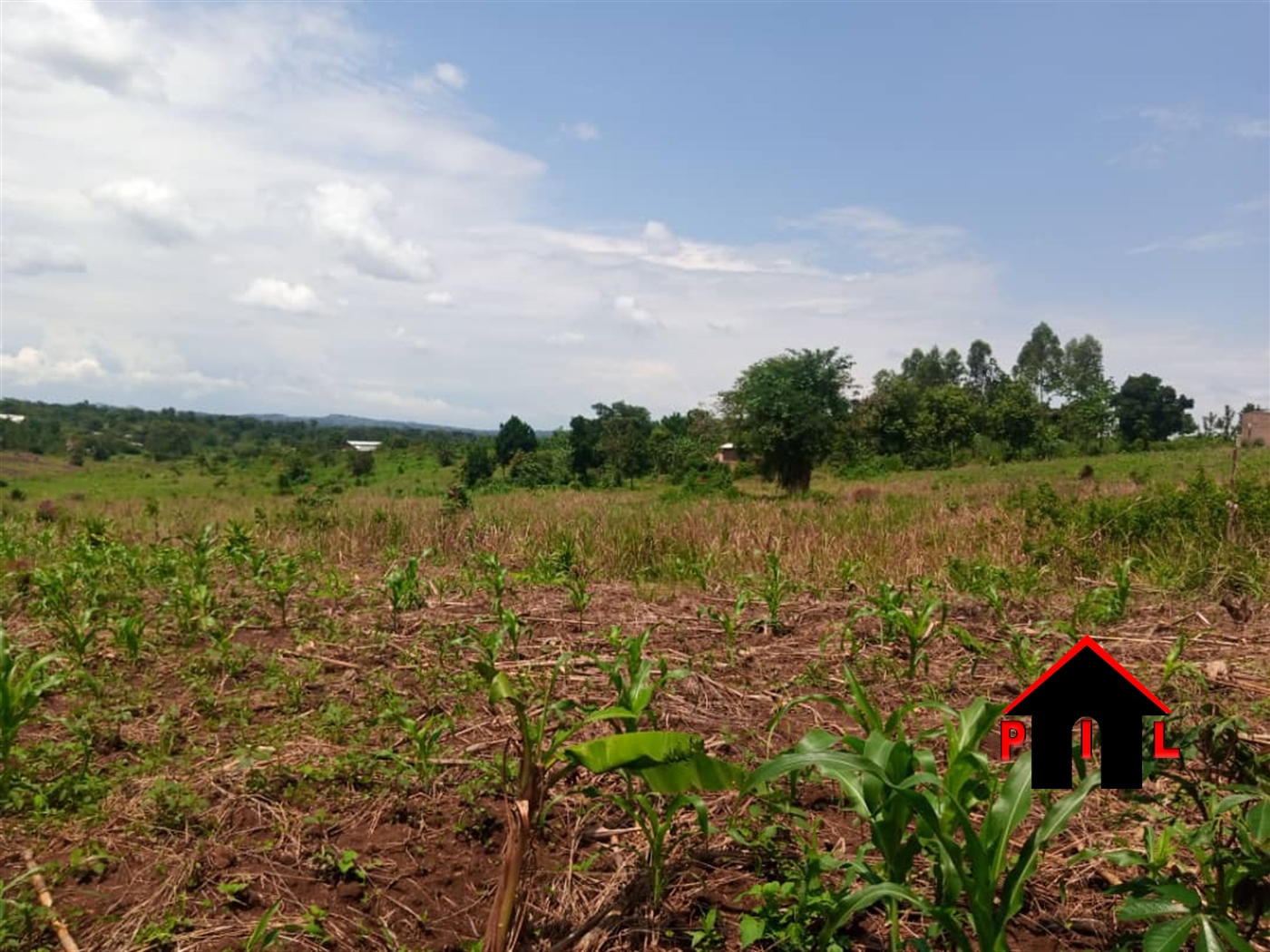 Residential Land for sale in Kyanja Kampala