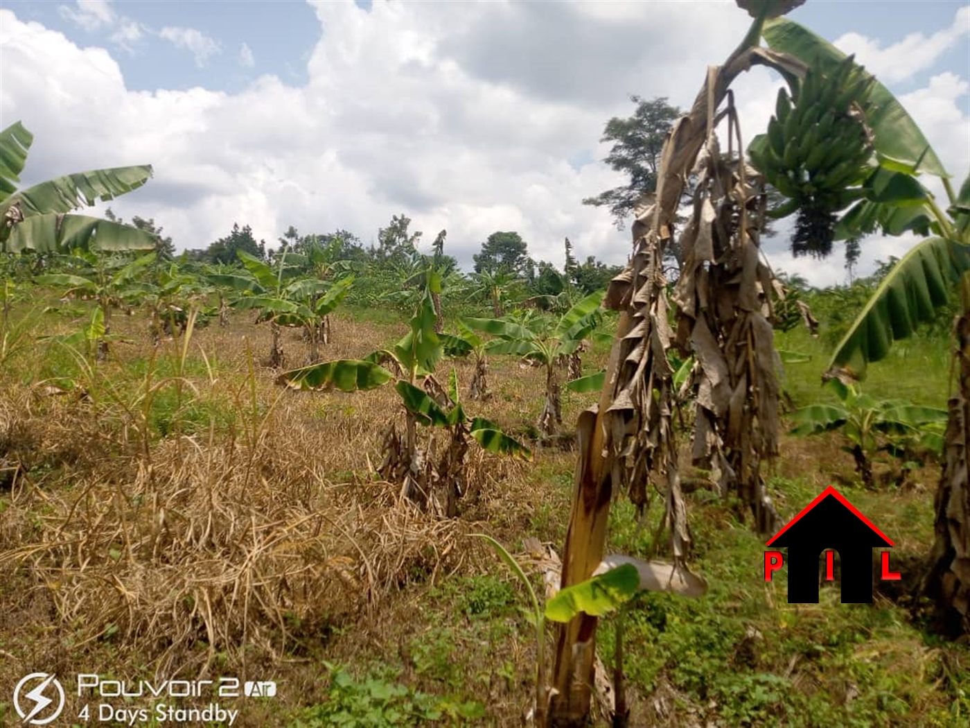 Agricultural Land for sale in Kanyanda Nakaseke