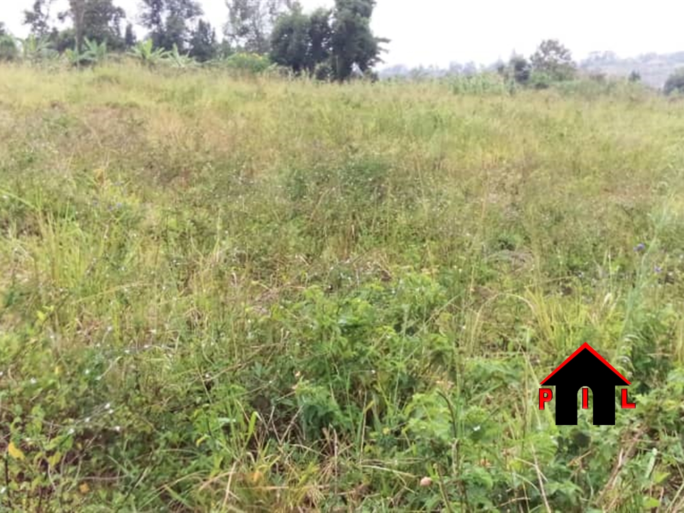 Agricultural Land for sale in Namulonge Wakiso