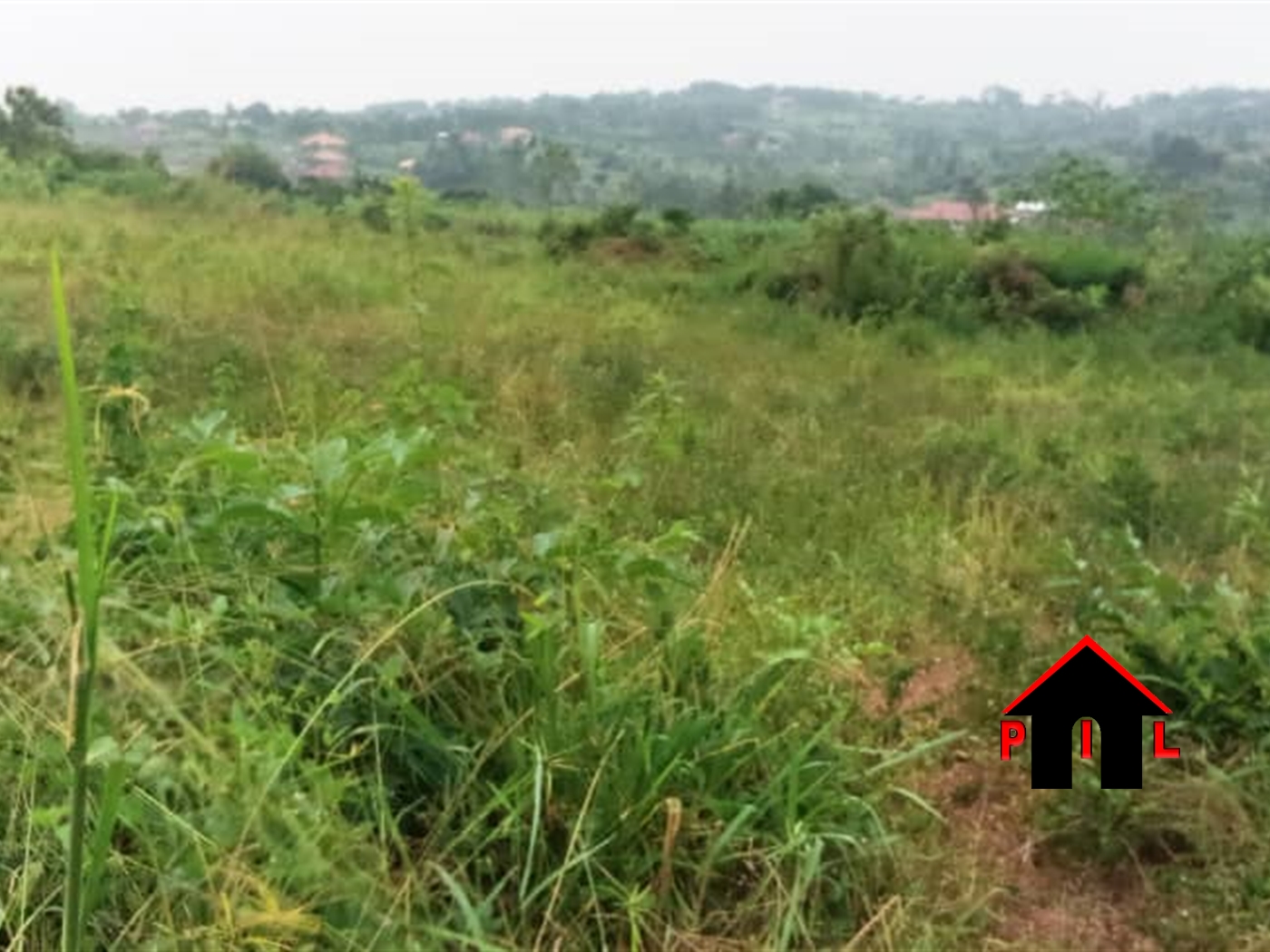 Agricultural Land for sale in Namulonge Wakiso