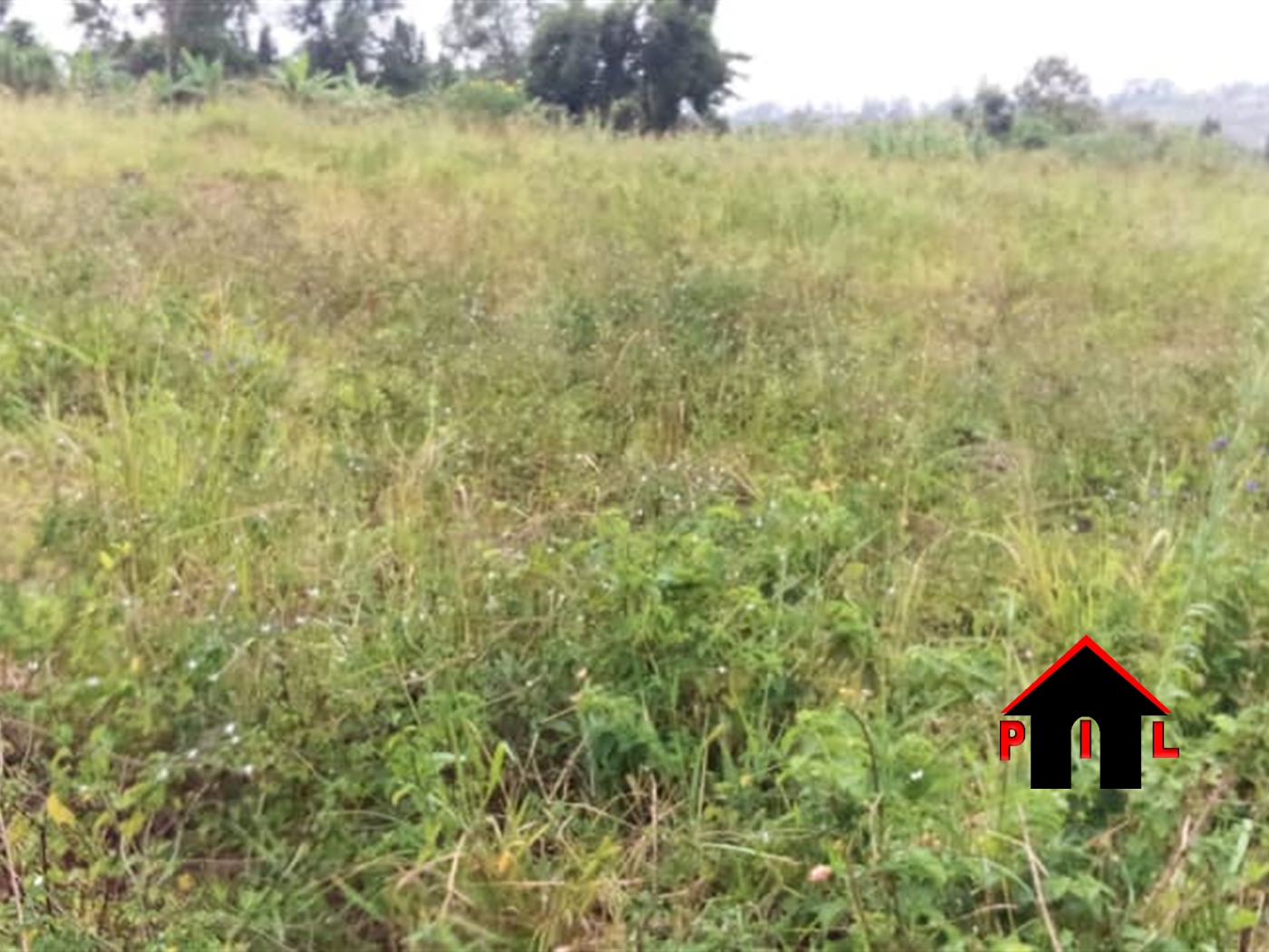 Agricultural Land for sale in Namulonge Wakiso