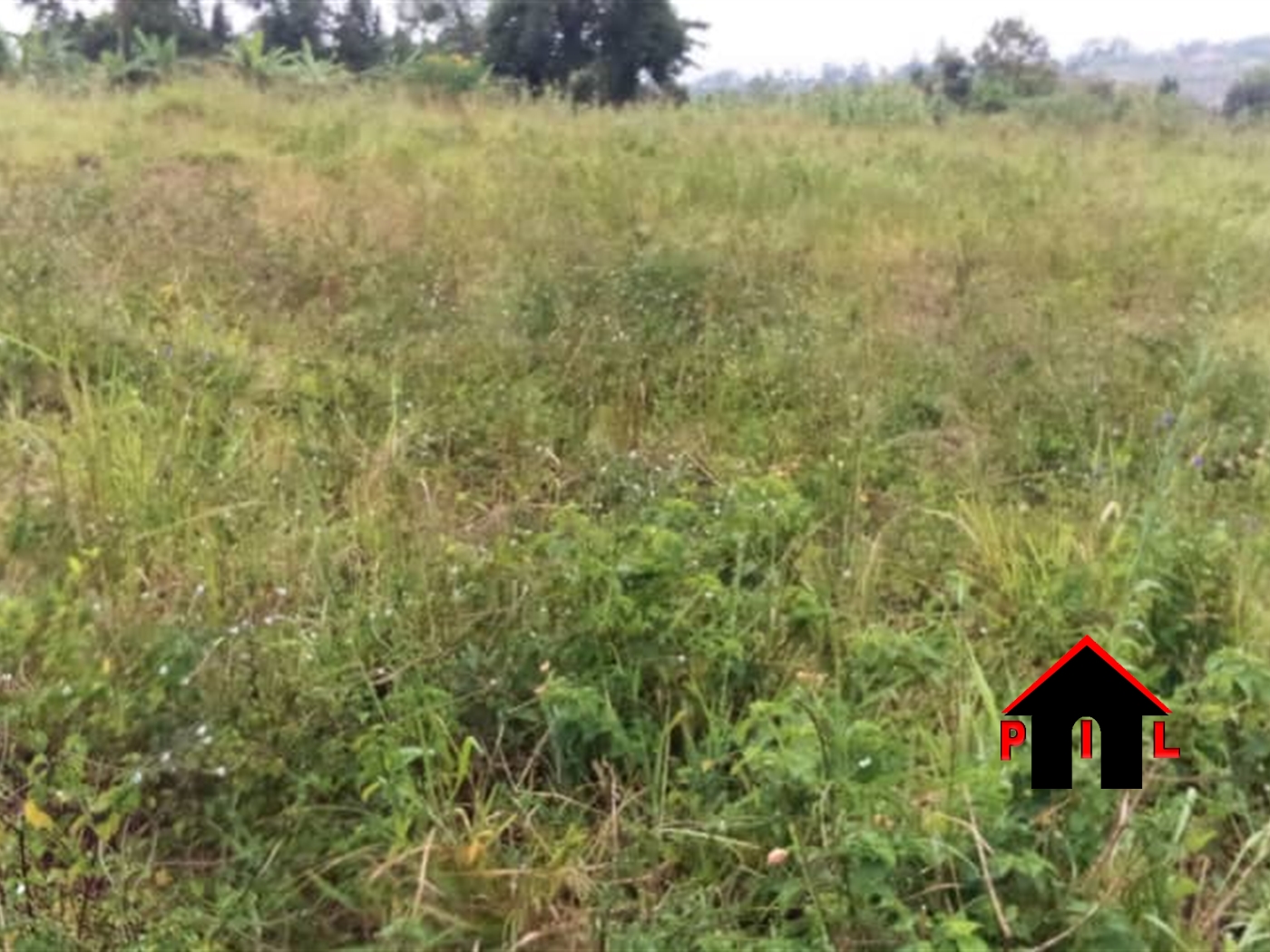 Agricultural Land for sale in Namulonge Wakiso