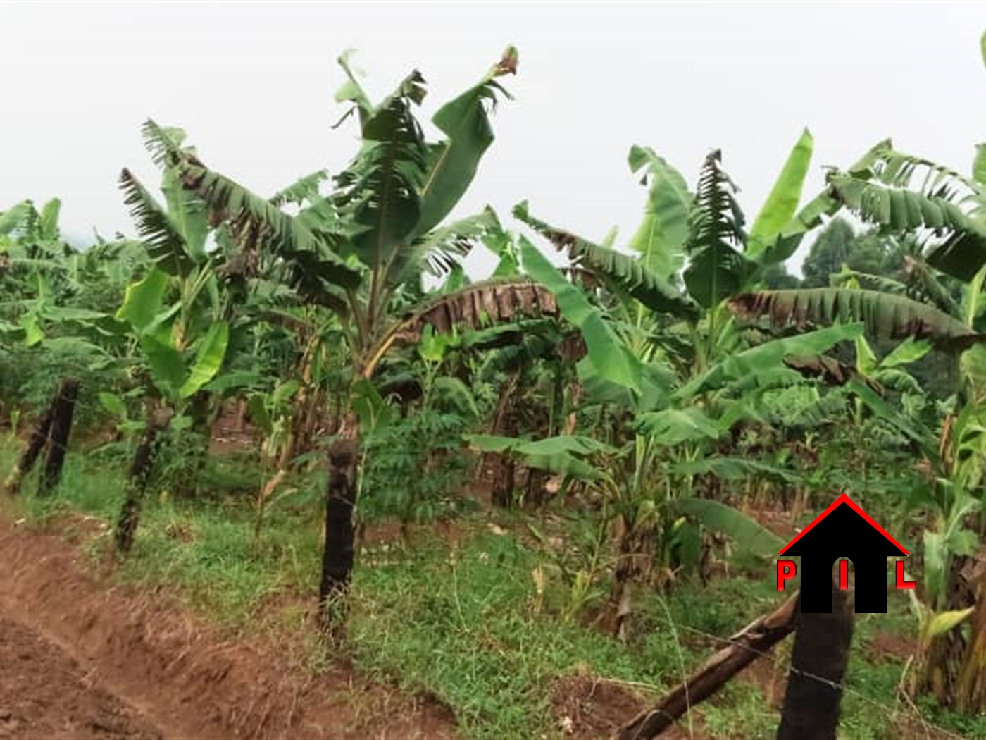 Agricultural Land for sale in Kiwenda Wakiso