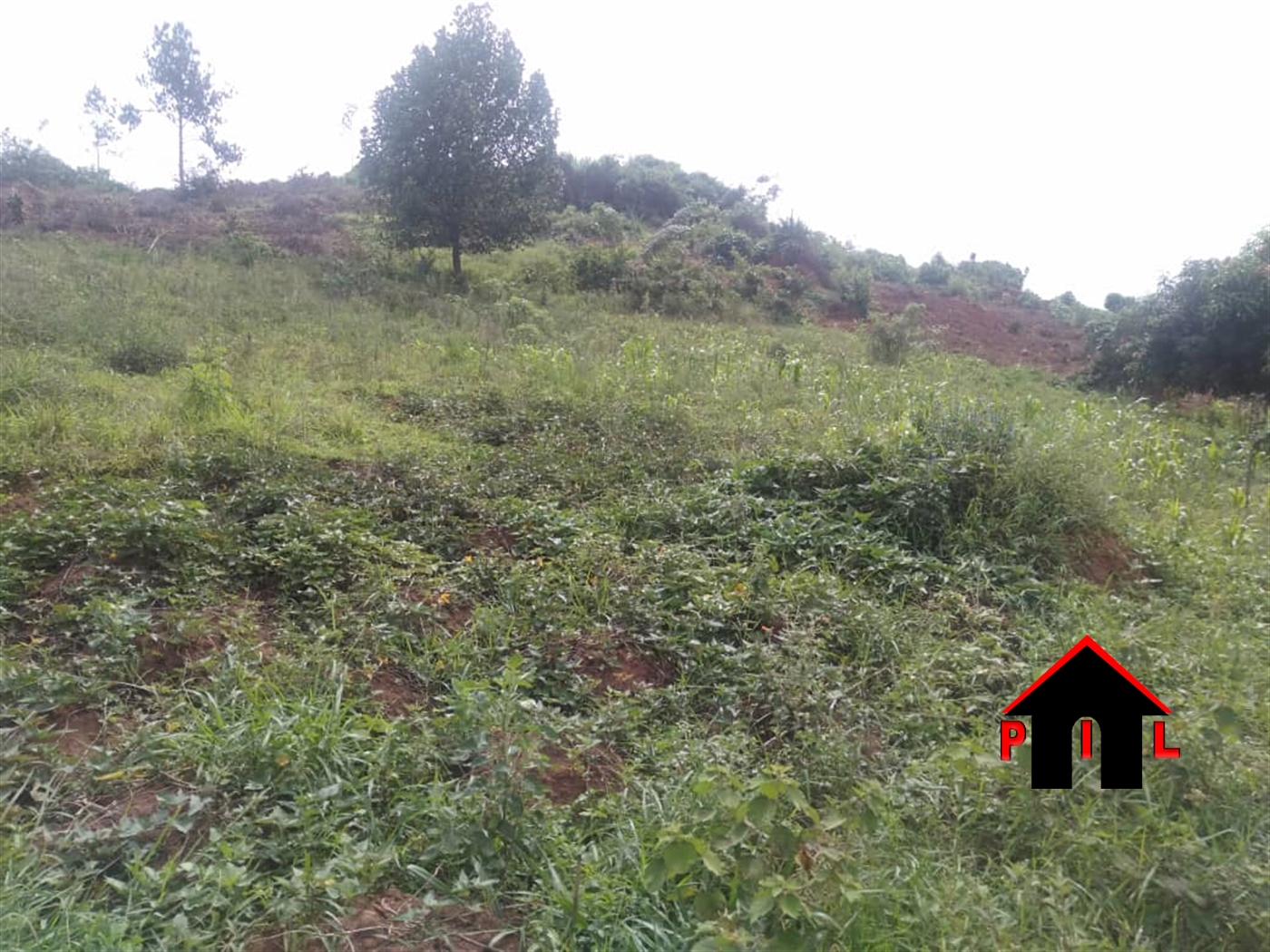 Residential Land for sale in Lumuli Wakiso
