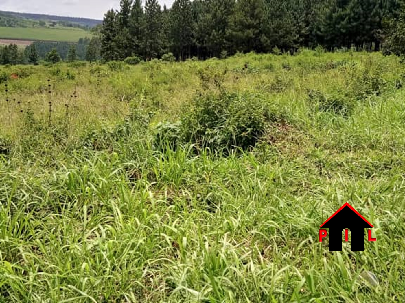 Agricultural Land for sale in Nabyewanga Mpigi