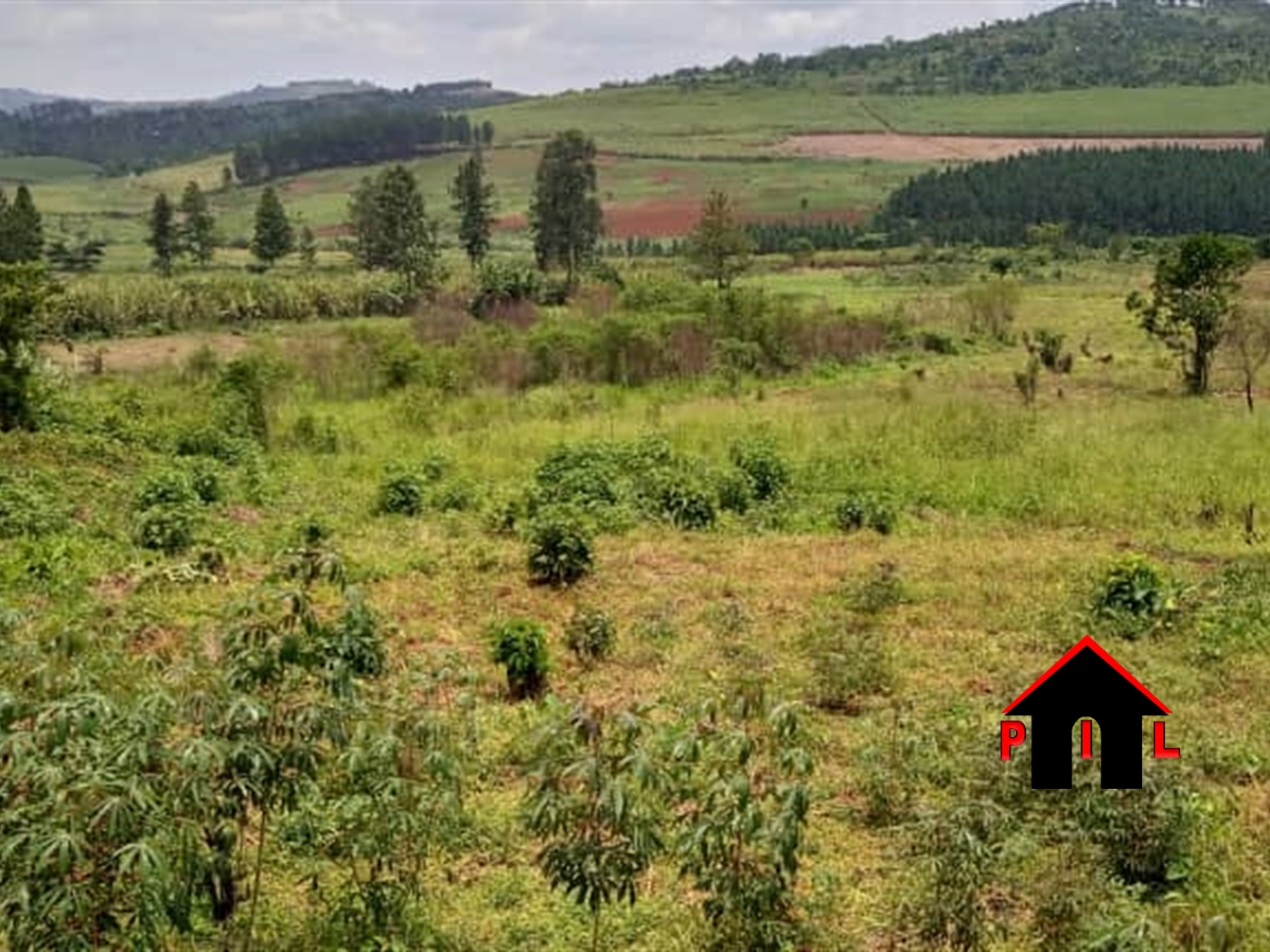 Agricultural Land for sale in Nabyewanga Mpigi