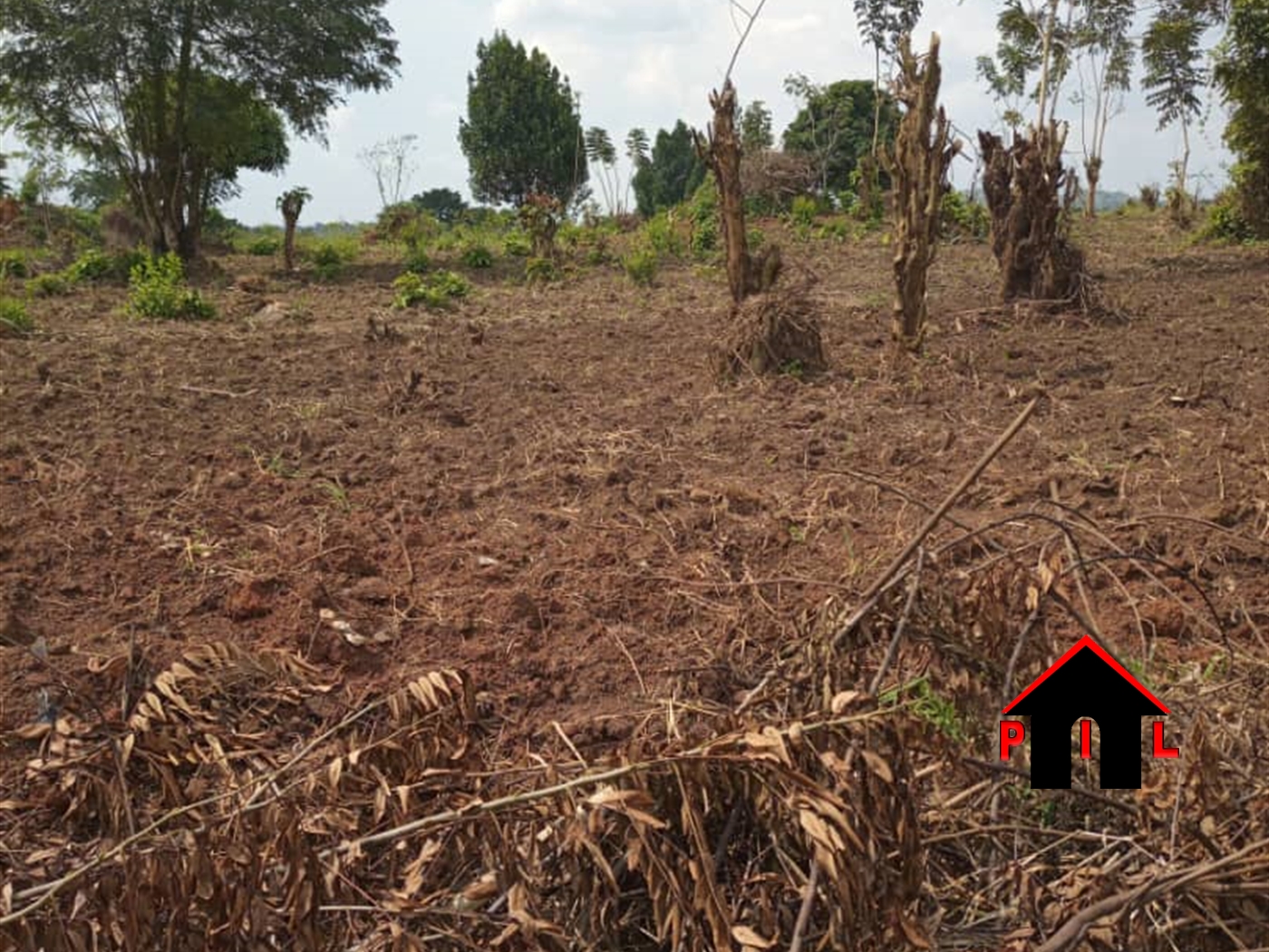 Agricultural Land for sale in Ntuusi Sembabule