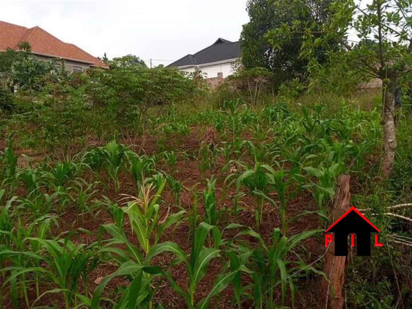 Residential Land for sale in Jjoggo Wakiso