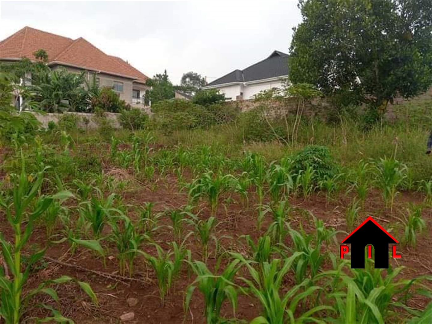 Residential Land for sale in Jjoggo Wakiso