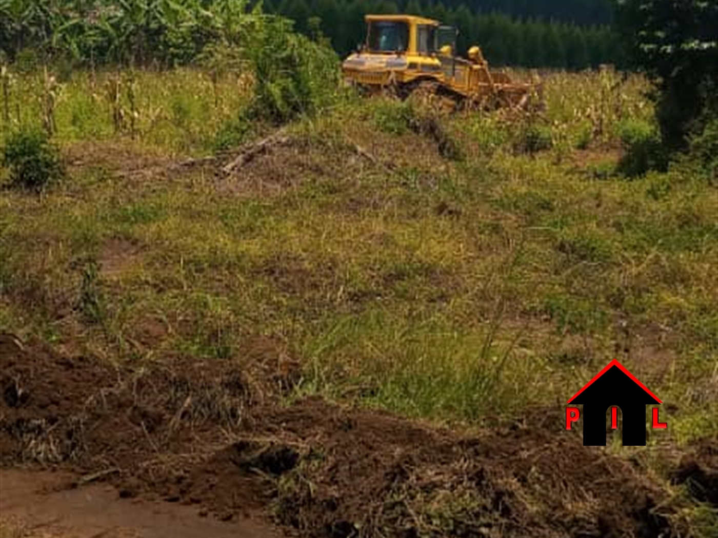 Agricultural Land for sale in Lukaya Kalungu