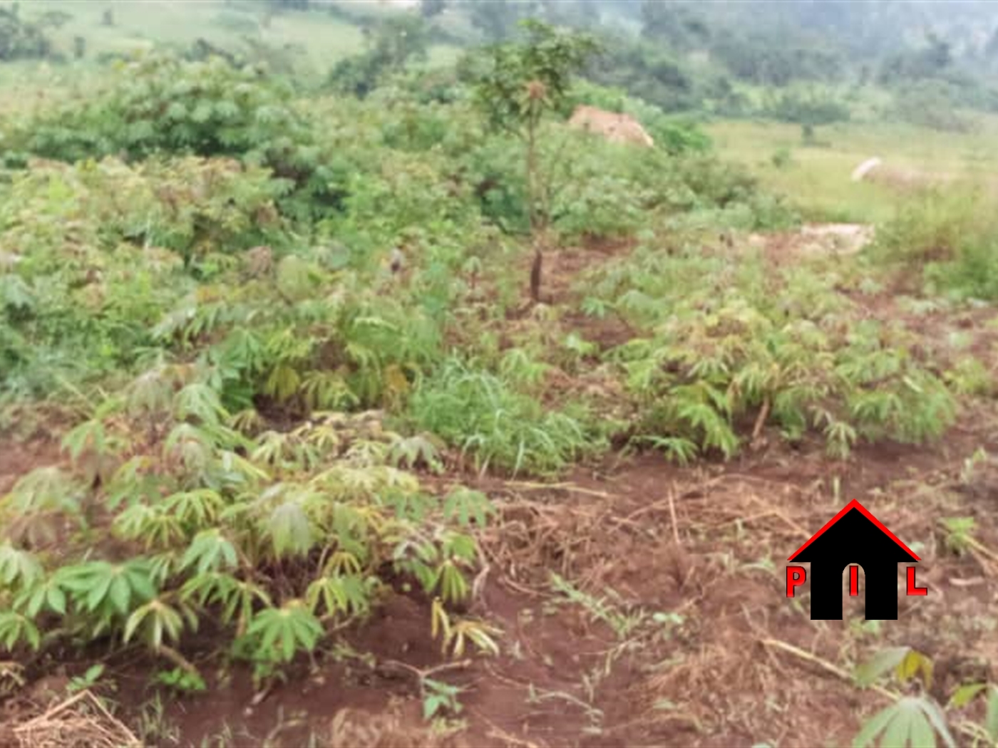 Residential Land for sale in Nakweelo Wakiso