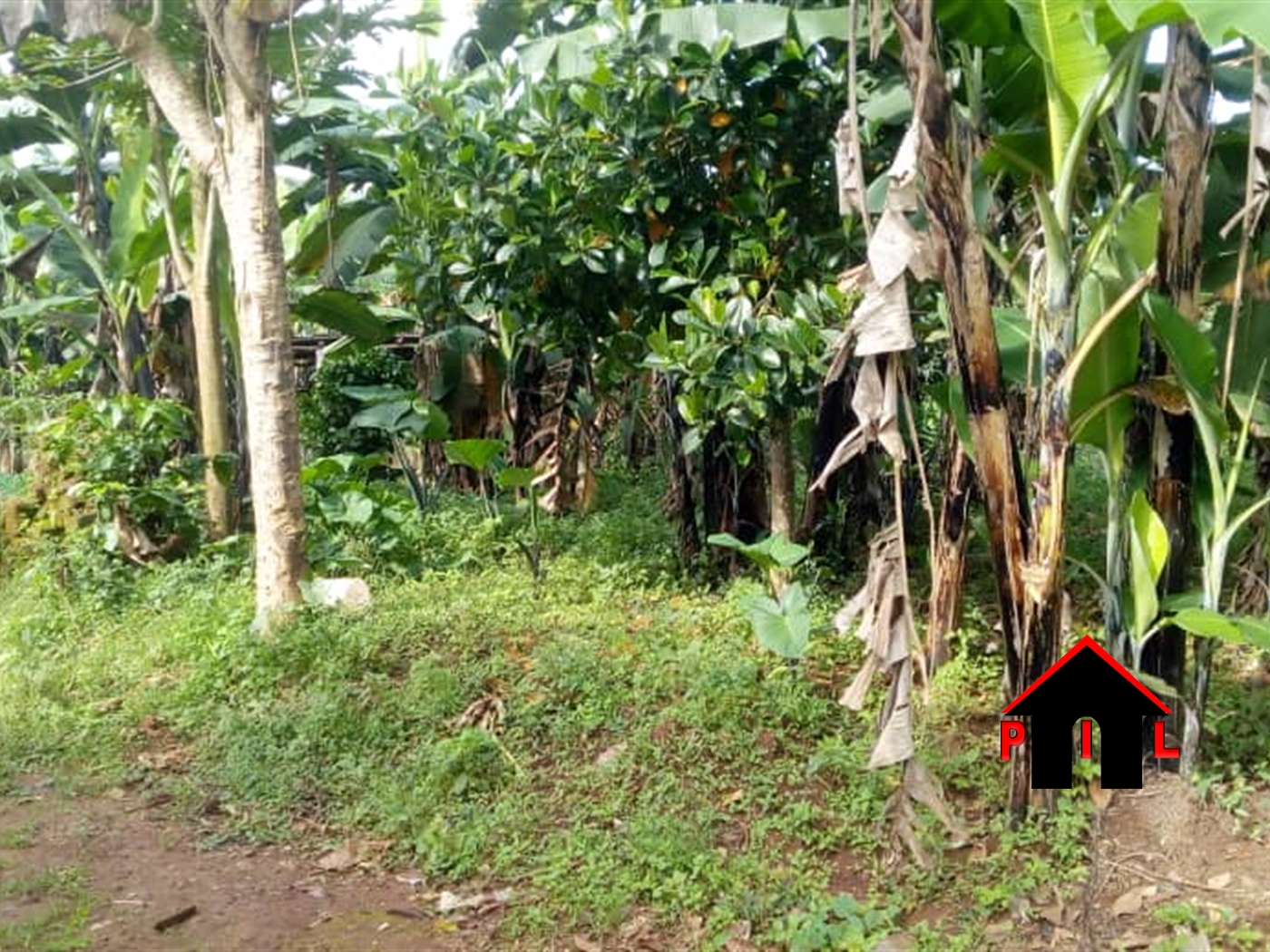 Residential Land for sale in Nakisunga Mukono