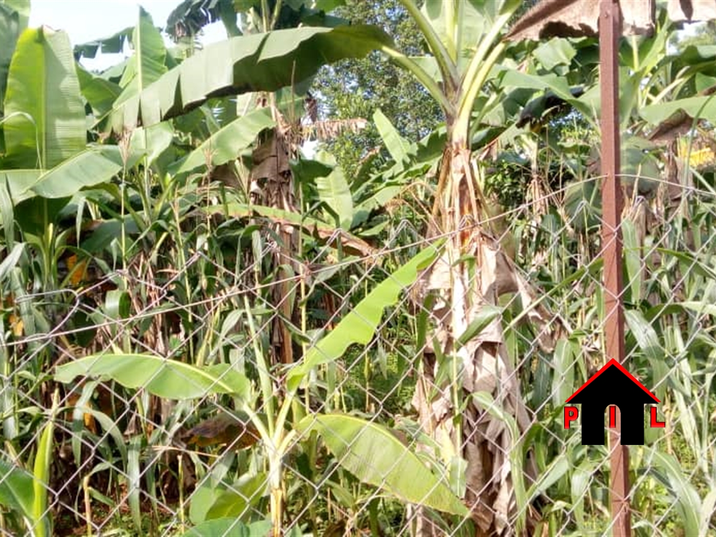 Residential Land for sale in Nakisunga Mukono