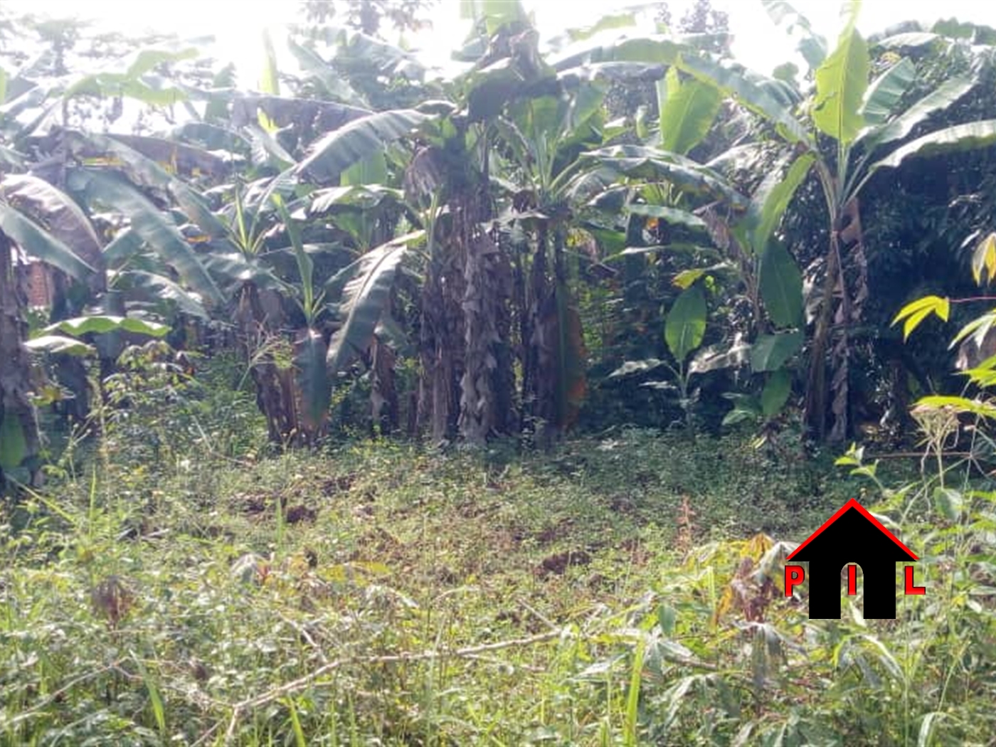 Residential Land for sale in Nakisunga Mukono