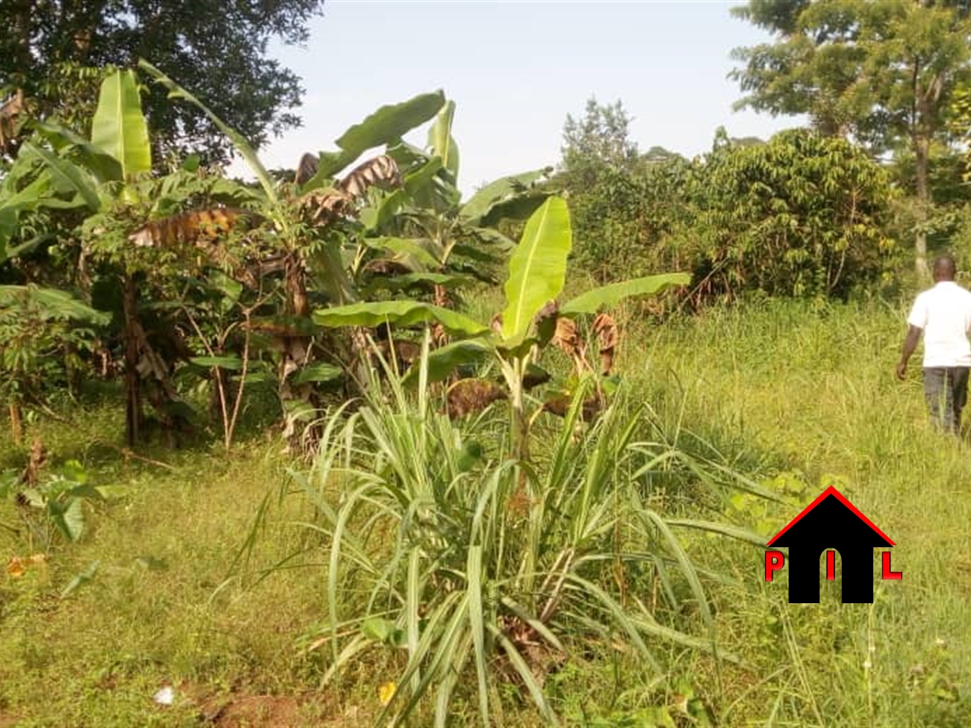 Residential Land for sale in Nakisunga Mukono