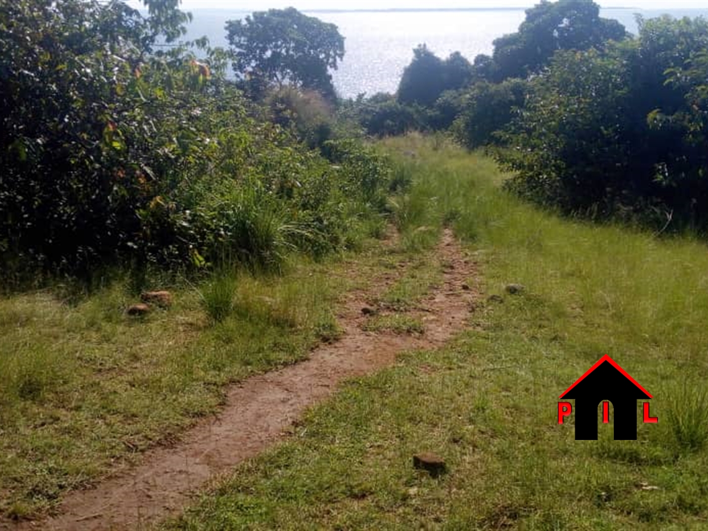 Agricultural Land for sale in Nkokonjeru Buyikwe