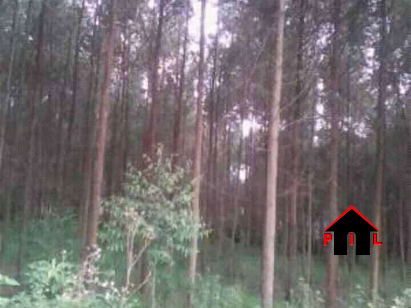 Agricultural Land for sale in Bulera Mityana