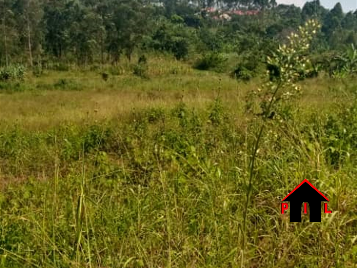 Residential Land for sale in Kiwenda Wakiso