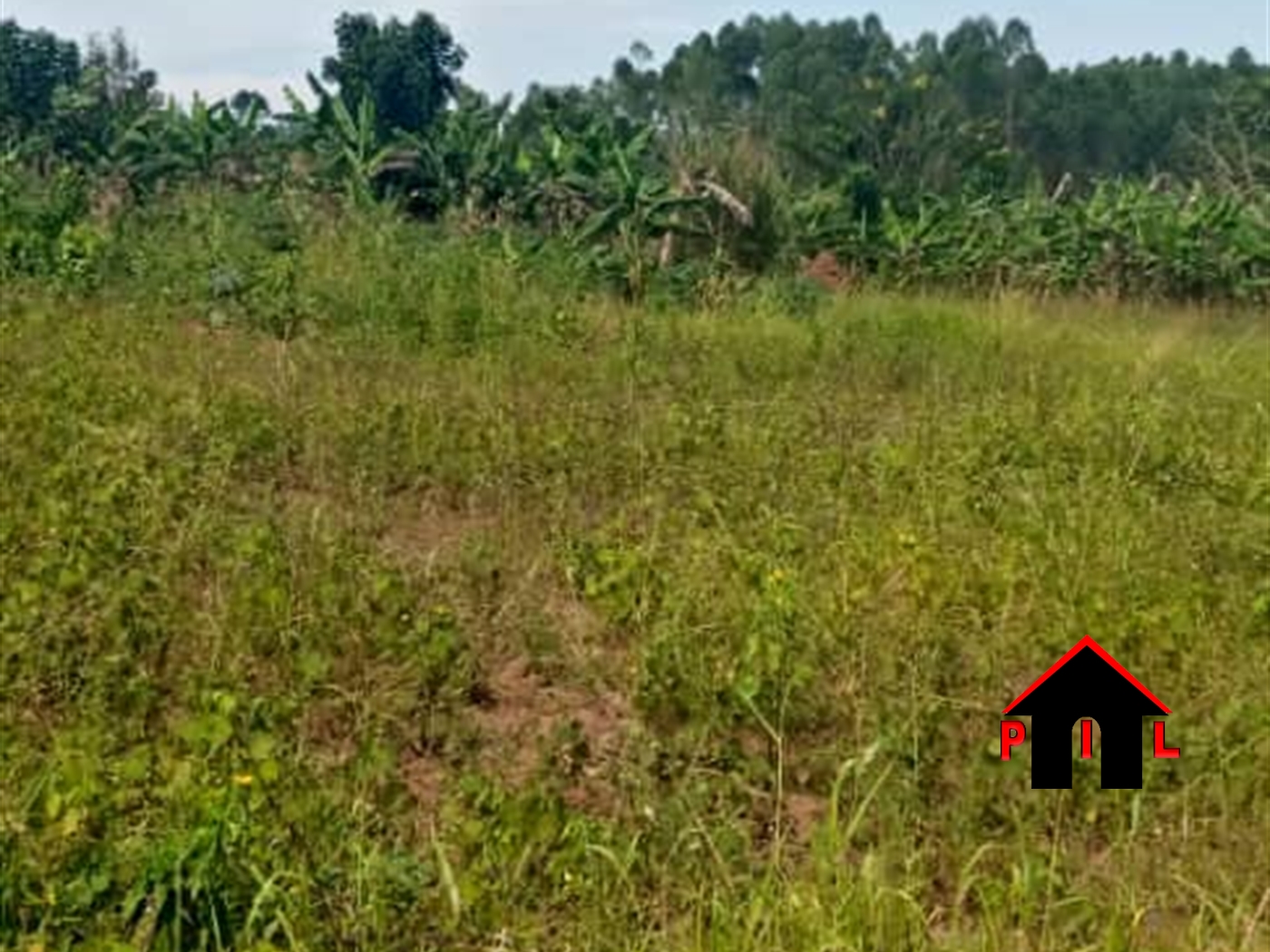 Residential Land for sale in Kiwenda Wakiso