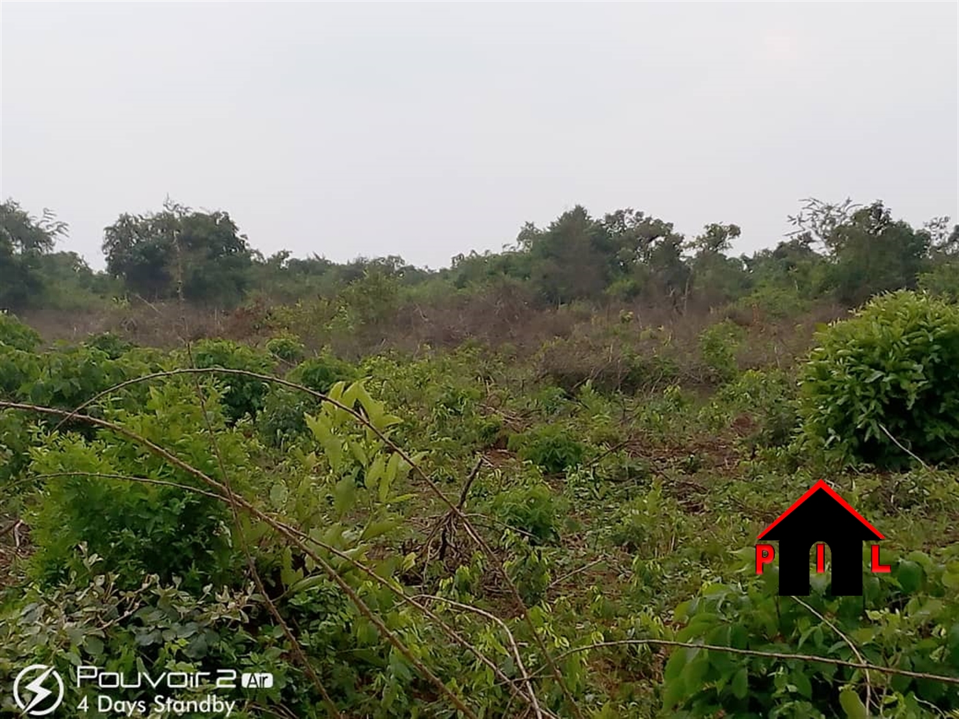 Agricultural Land for sale in Lwamawungu Nakaseke