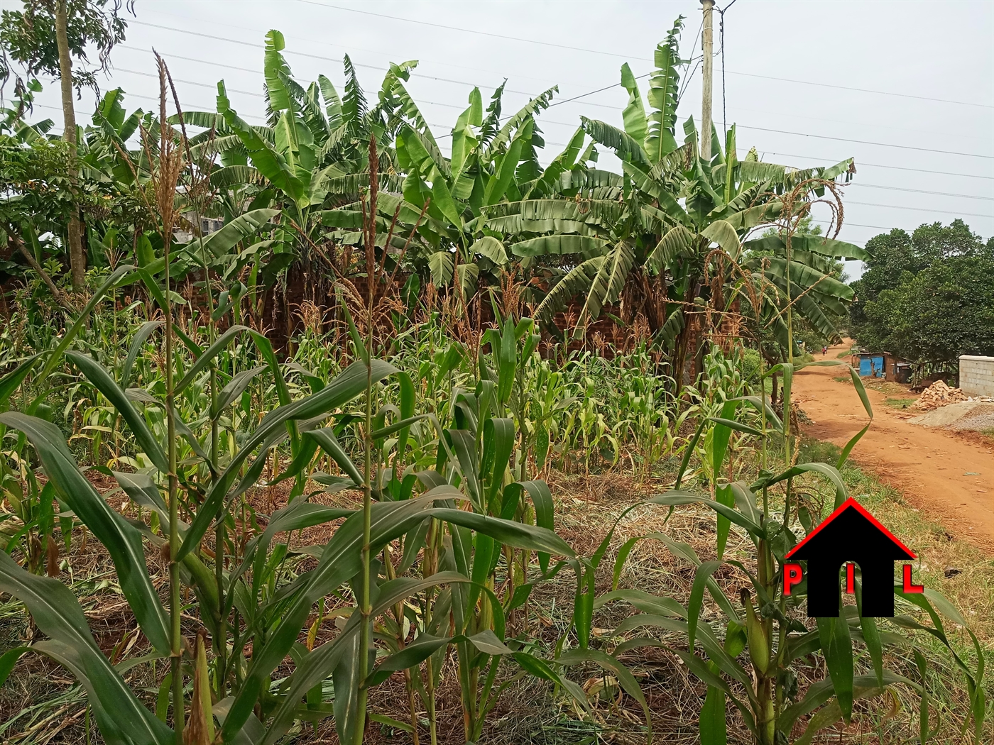 Residential Land for sale in Nsasa Wakiso