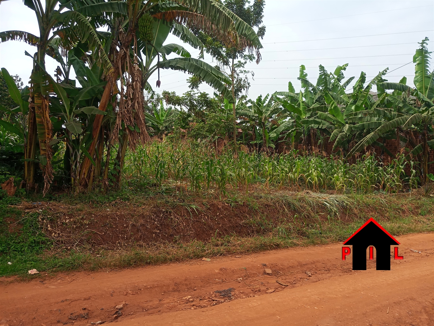 Residential Land for sale in Nsasa Wakiso