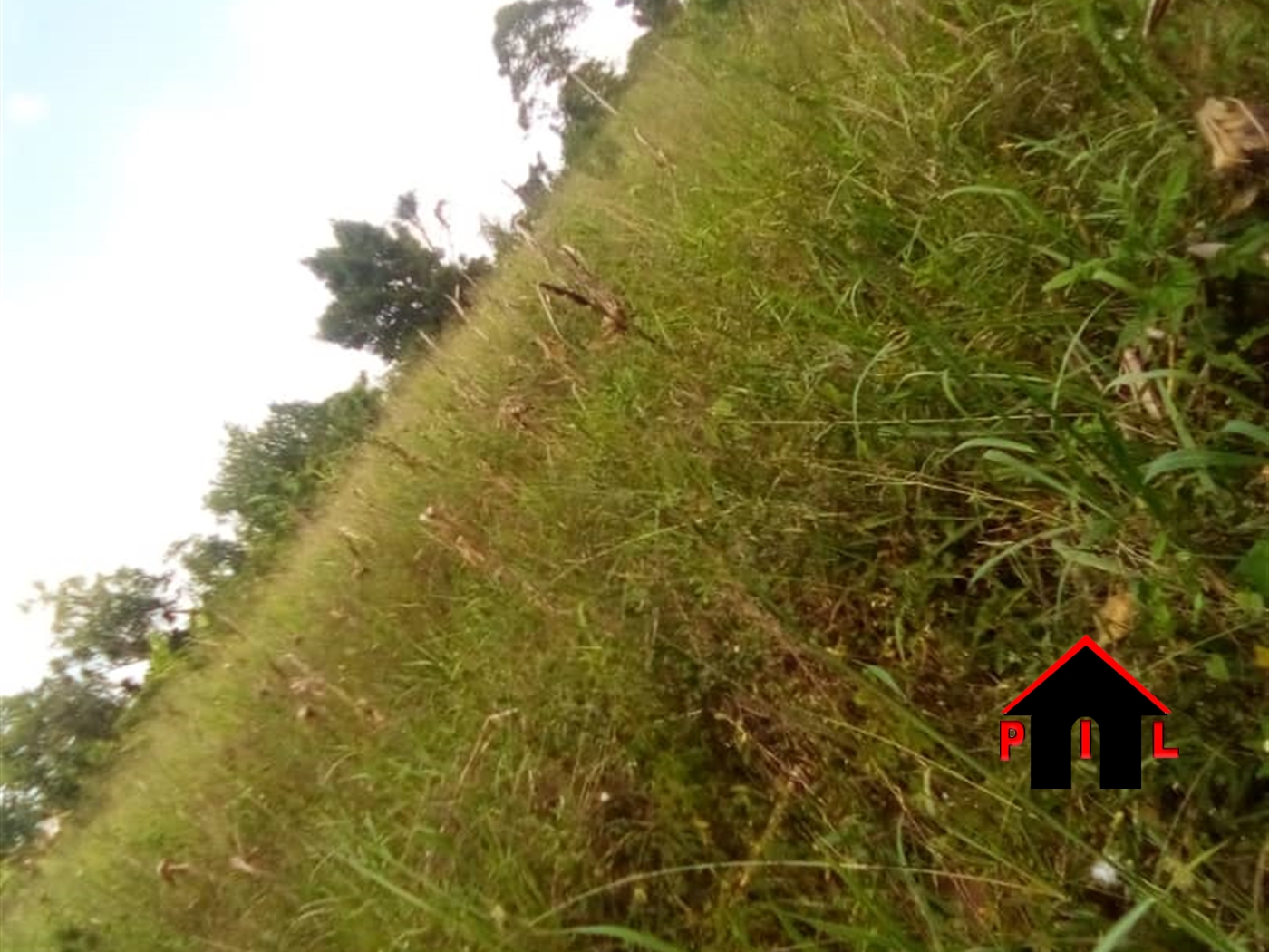 Residential Land for sale in Manyangwa Wakiso