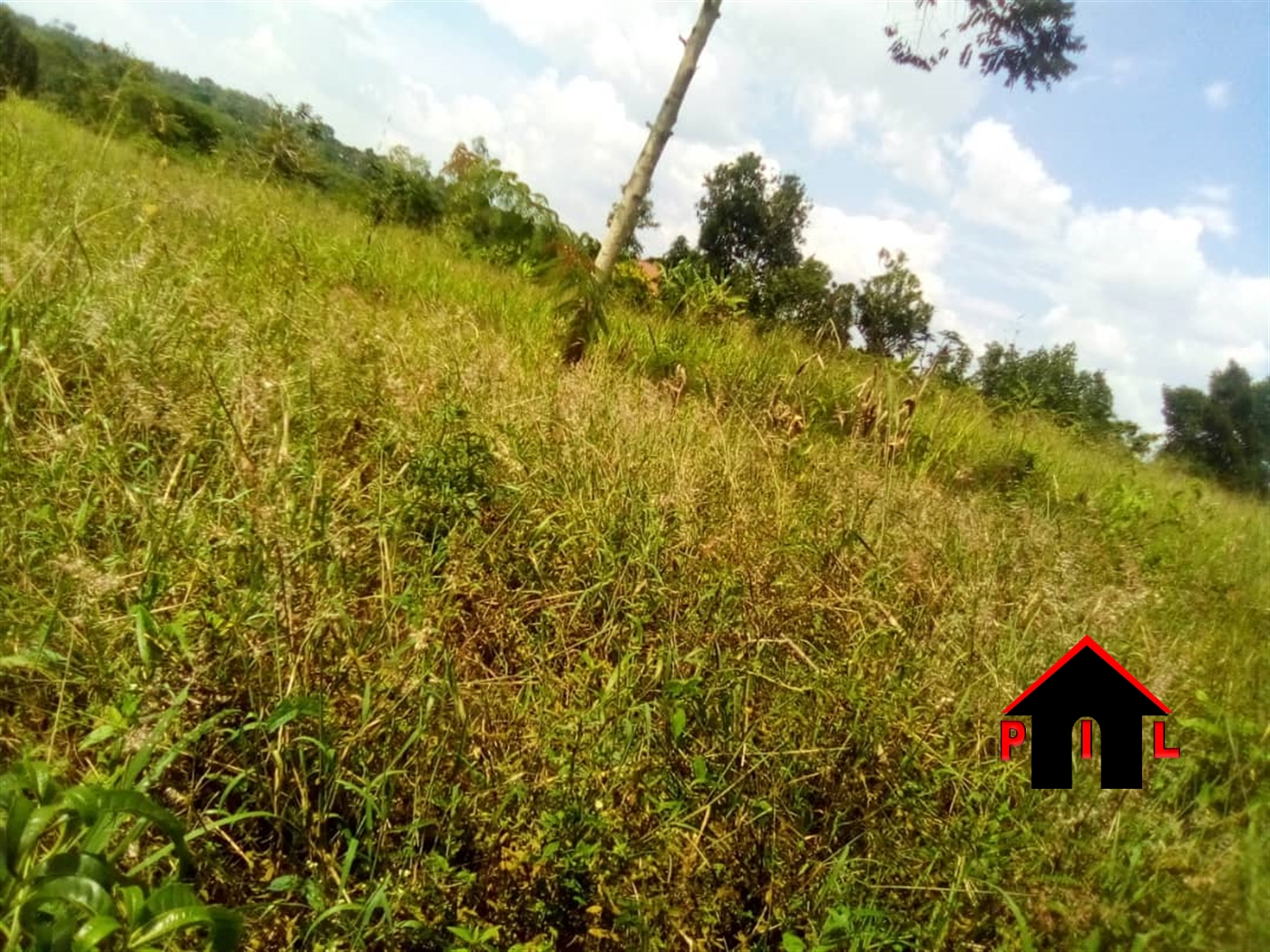 Residential Land for sale in Manyangwa Wakiso