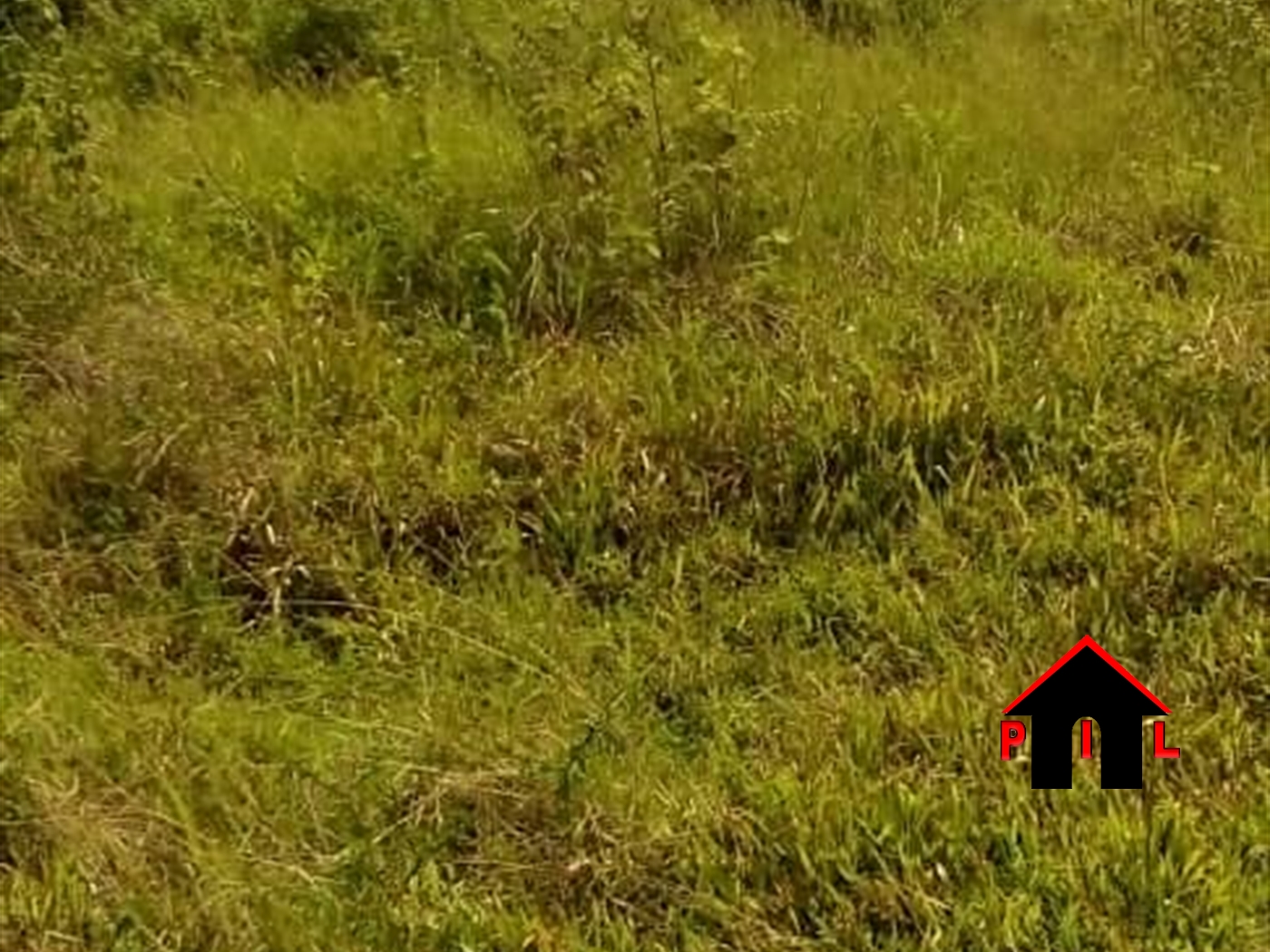 Residential Land for sale in Kiwenda Wakiso