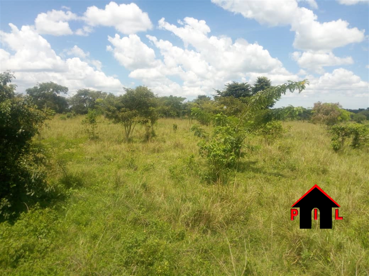 Agricultural Land for sale in Wamala Butambala