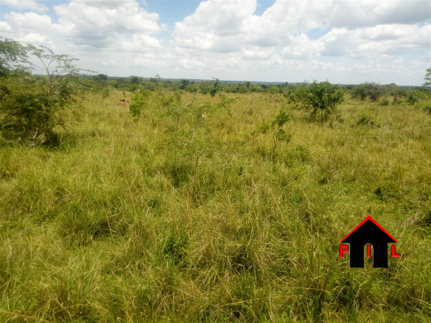 Agricultural Land for sale in Wamala Butambala